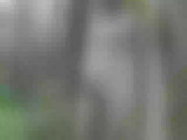 Live sex webcam photo for Ledi1 #291100183