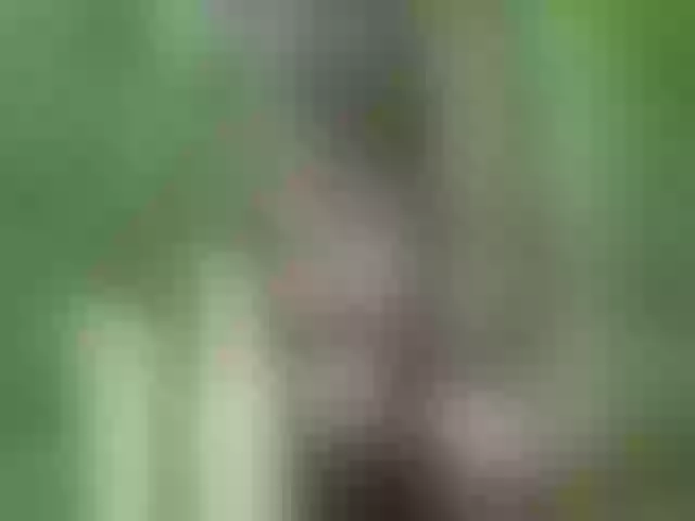 Live sex webcam photo for Ledi1 #291147443