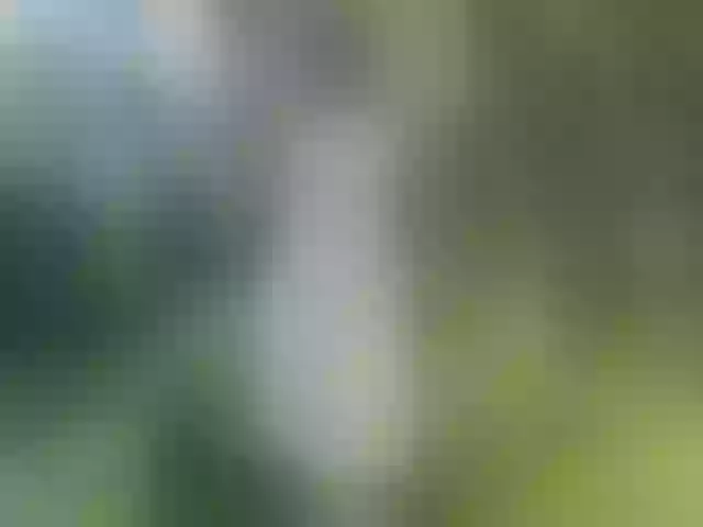 Live sex webcam photo for Ledi1 #291661676