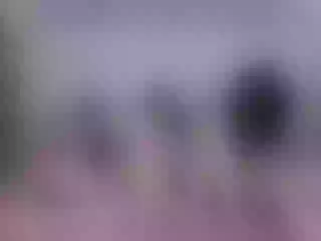 Live sex webcam photo for LeilaDorta #274299479