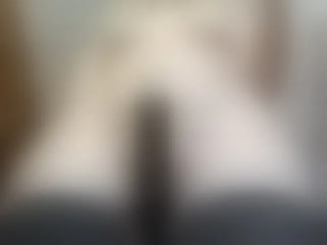 Live sex webcam photo for LeilaGerveler #293448741