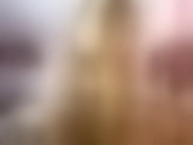 Live sex webcam photo for LeilaGerveler #293522632