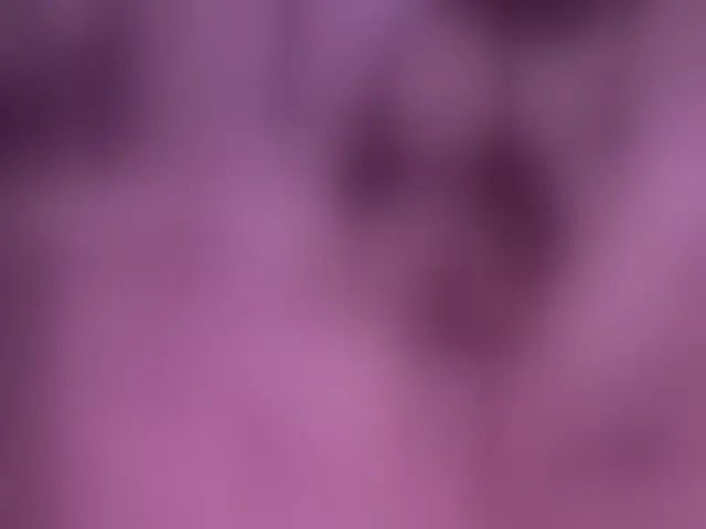 Live sex webcam photo for Leinbone #292375123