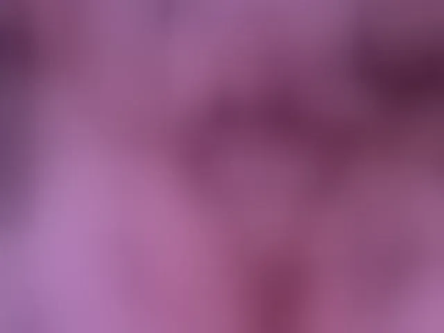 Live sex webcam photo for Leinbone #292525703