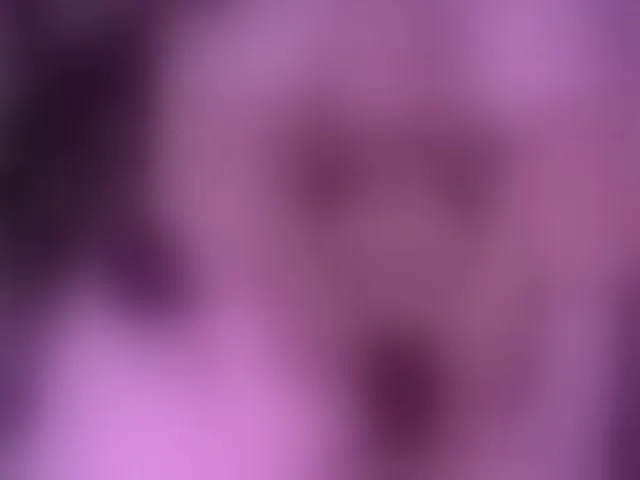 Live sex webcam photo for Leinbone #293060032