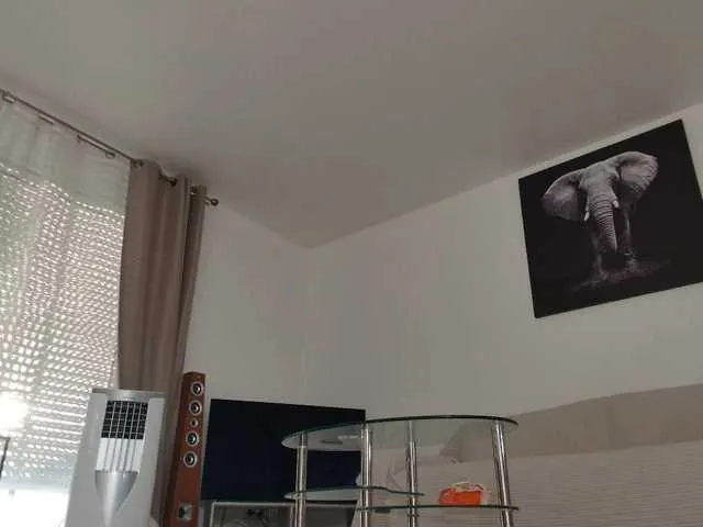 Live sex webcam photo for Lelena13 #291557480