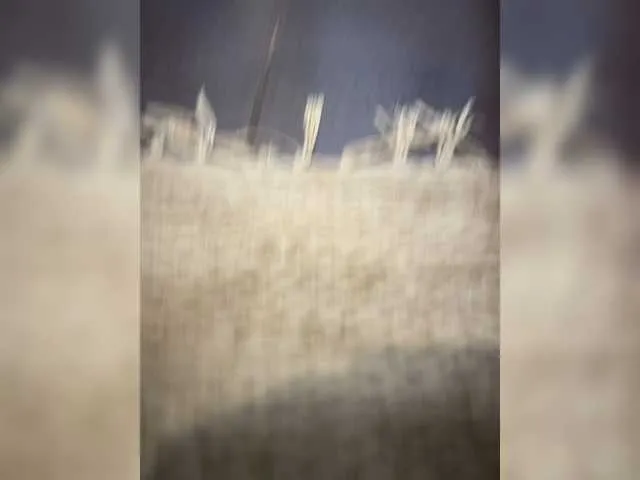 Live sex webcam photo for Lenchiksuchka #278213967