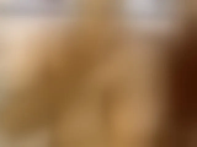 Live sex webcam photo for LeoAndKali #292670929