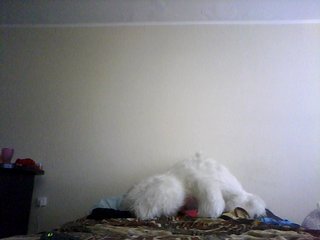 Live sex webcam photo for LeraAndrej #181795519