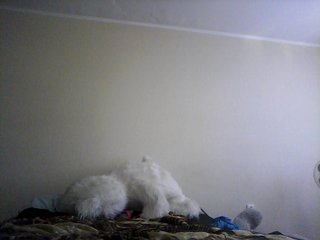 Live sex webcam photo for LeraAndrej #181801416