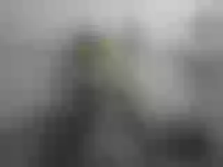 Live sex webcam photo for LeraAndrej #192353573