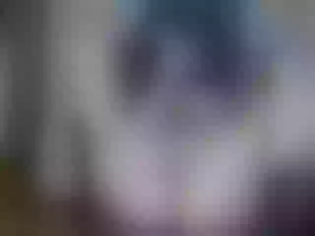 Live sex webcam photo for LettyWild #274112942