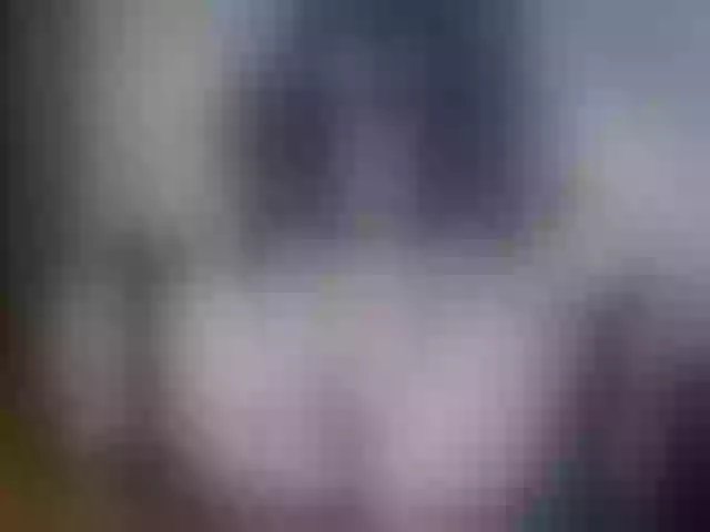 Live sex webcam photo for LettyWild #274134091
