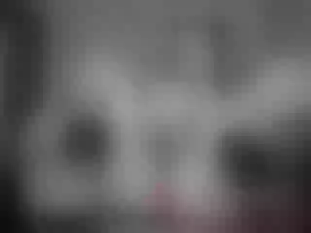Live sex webcam photo for LettyWild #276830154