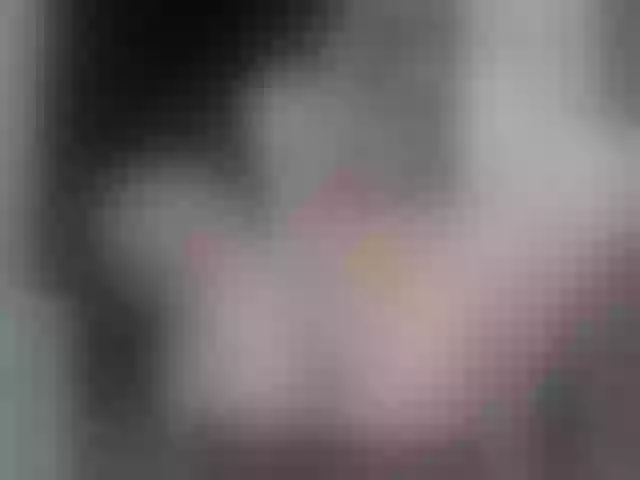 Live sex webcam photo for LettyWild #291351788
