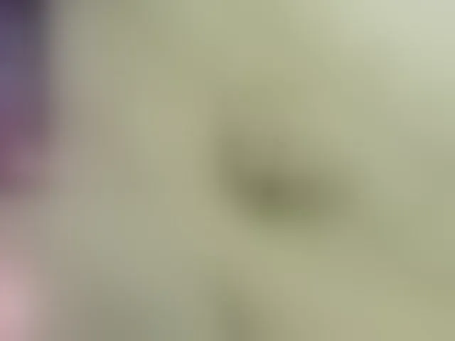 Live sex webcam photo for Lexxiiross #292342046