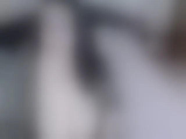 Live sex webcam photo for LexyBlair #293496350