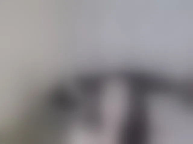 Live sex webcam photo for LexyBlair #293594152