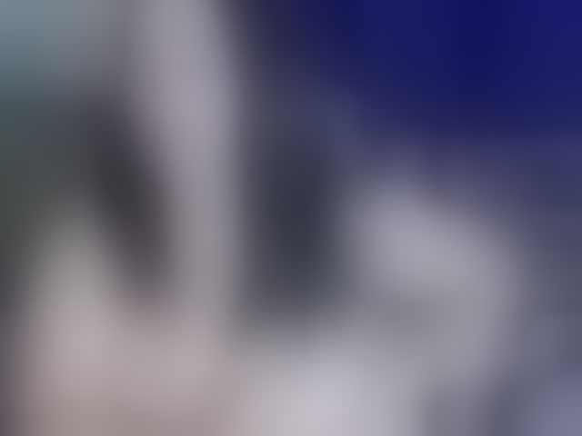 Live sex webcam photo for LexyBlair #294132346
