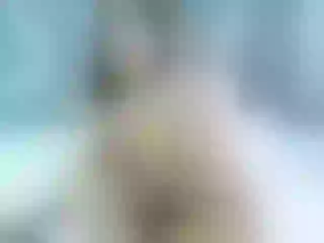 Live sex webcam photo for Leyla-Apis #273540799