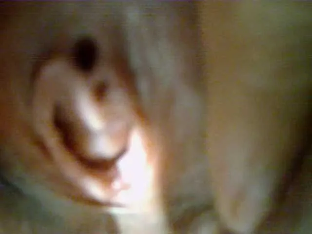 Live sex webcam photo for Leysun7 #291709673