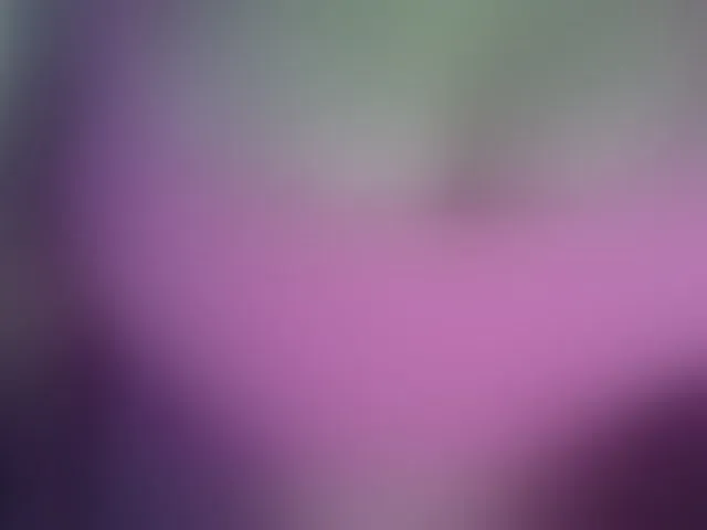 Live sex webcam photo for Leysun7 #292429708