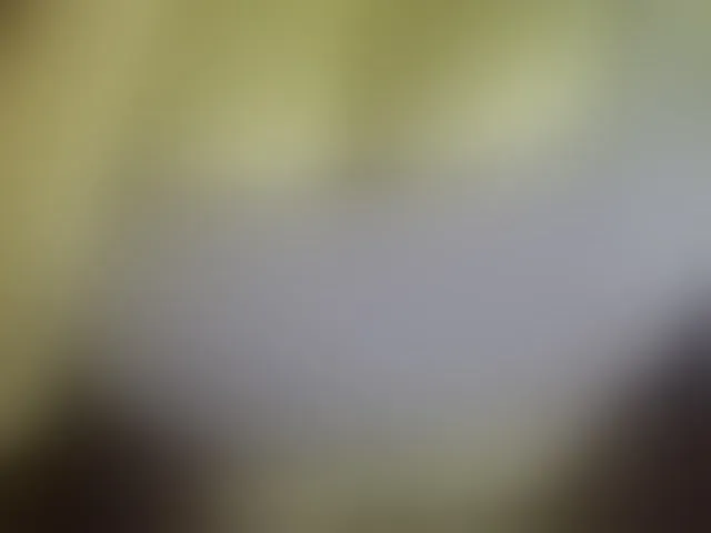 Live sex webcam photo for Leysun7 #293103046