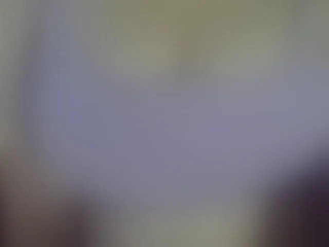 Live sex webcam photo for Leysun7 #293108713