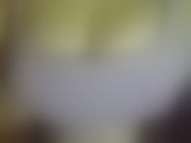Live sex webcam photo for Leysun7 #293119215