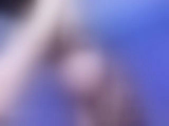Live sex webcam photo for Li-baby #291294917