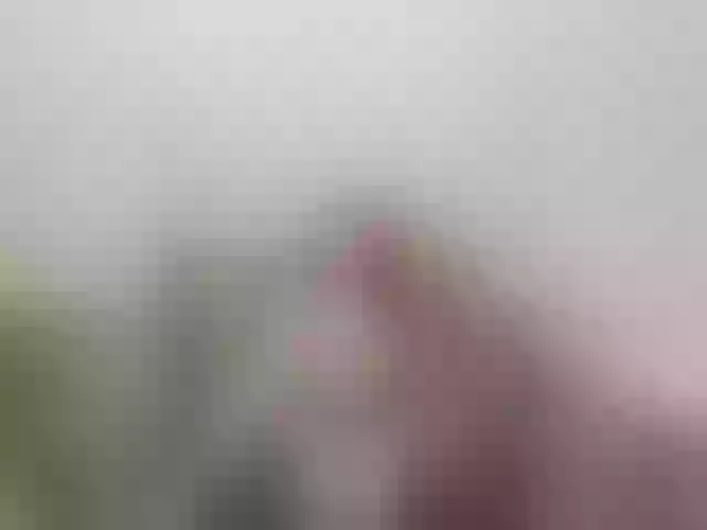 Live sex webcam photo for LiShhh #290844347