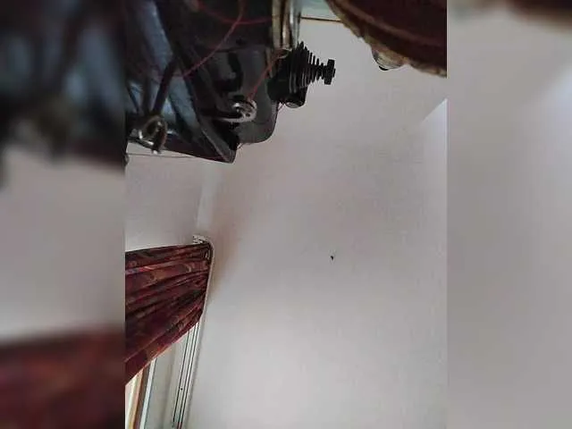 Live sex webcam photo for Lichterengelchen #291088662