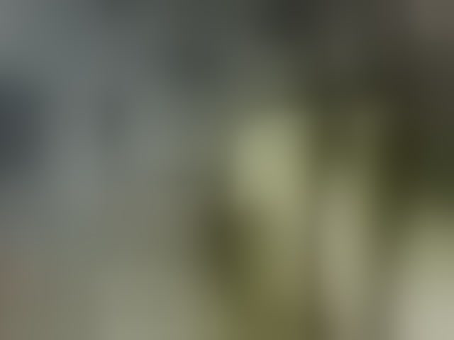 Live sex webcam photo for Lida7 #294056336