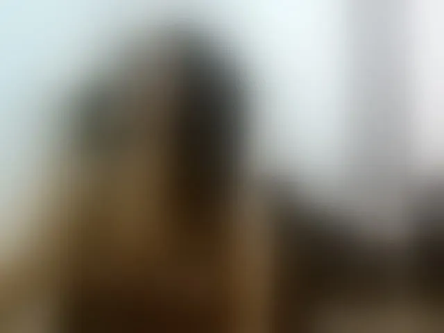 Live sex webcam photo for LikaLady #293266588