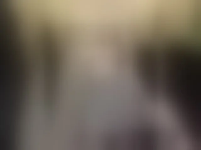 Live sex webcam photo for Likachkaa #293093475