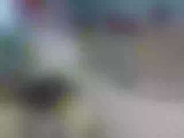 Live sex webcam photo for Lila28six #272416628