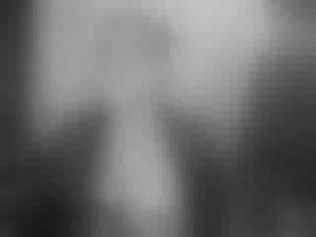 Live sex webcam photo for Lila28six #277067572
