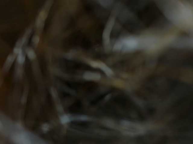 Live sex webcam photo for LilaFachinni #277017190