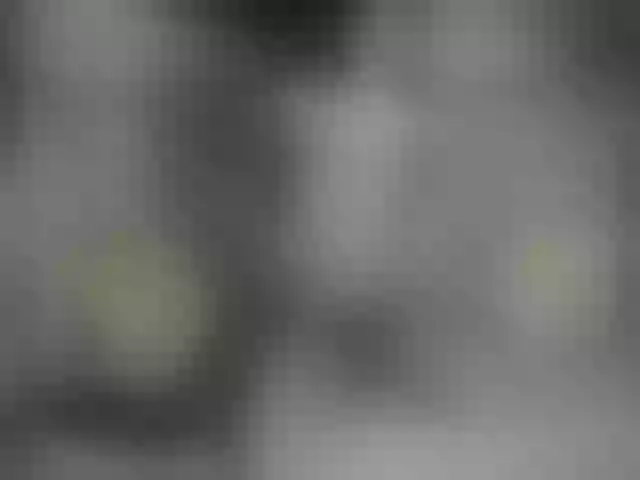 Live sex webcam photo for Lili-asian #273383695
