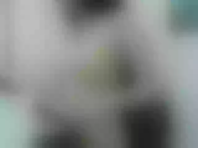 Live sex webcam photo for Lili-asian #290893072