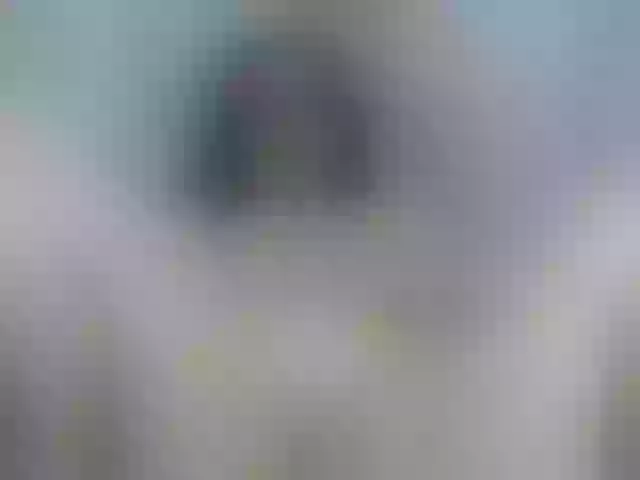 Live sex webcam photo for Liligold2 #273758894