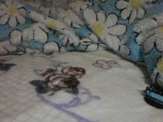 Live sex webcam photo for Liliya9 #213393584