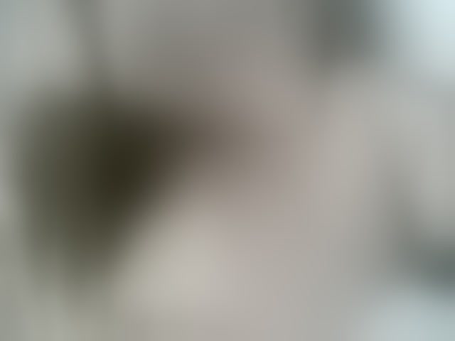 Live sex webcam photo for LilyLuxeXO #294156783