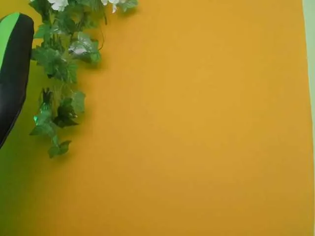 Live sex webcam photo for LilyRaee #273246922