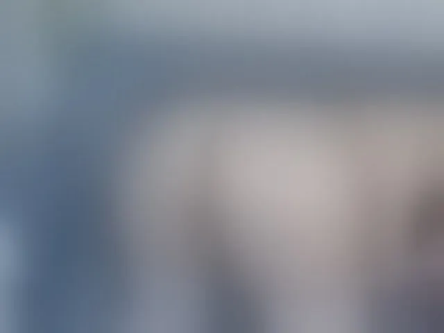 Live sex webcam photo for LinaTomingas #292510182