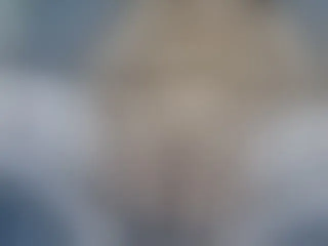 Live sex webcam photo for LinaTomingas #292540909