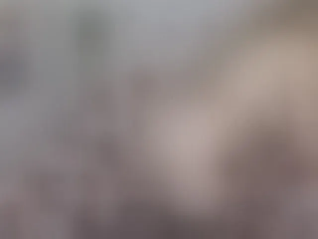 Live sex webcam photo for LinaTomingas #293268942