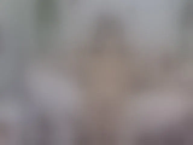 Live sex webcam photo for LinaTomingas #293292212