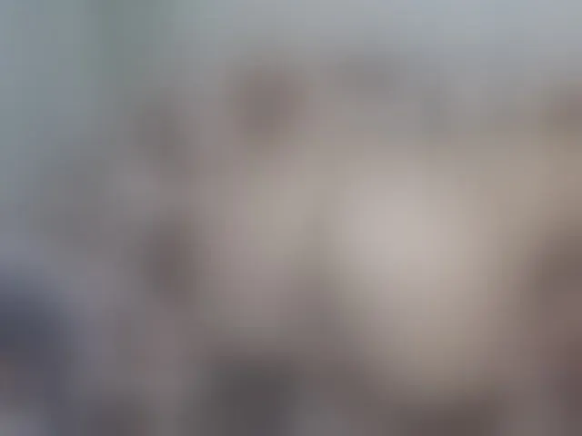 Live sex webcam photo for LinaTomingas #293312954