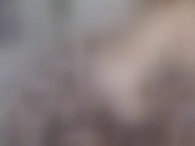 Live sex webcam photo for LinaTomingas #293326723